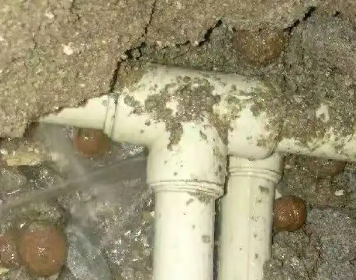 洛龙测漏水多少钱