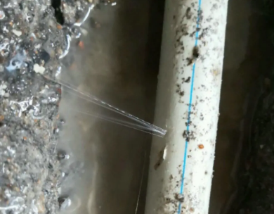 洛龙测漏水哪家好