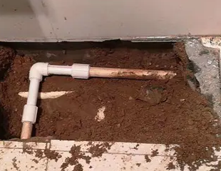 洛龙测漏水哪家好