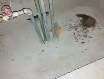 洛龙卫生间测漏水价格明细