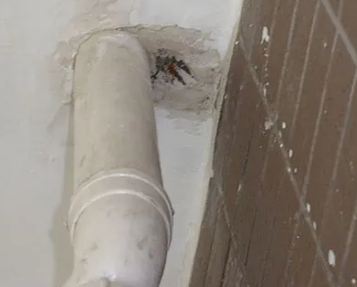 洛龙漏水检测哪家好